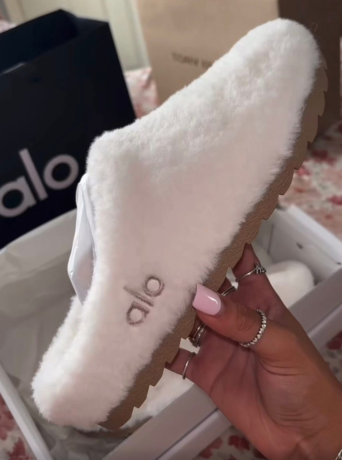 Alo slides
